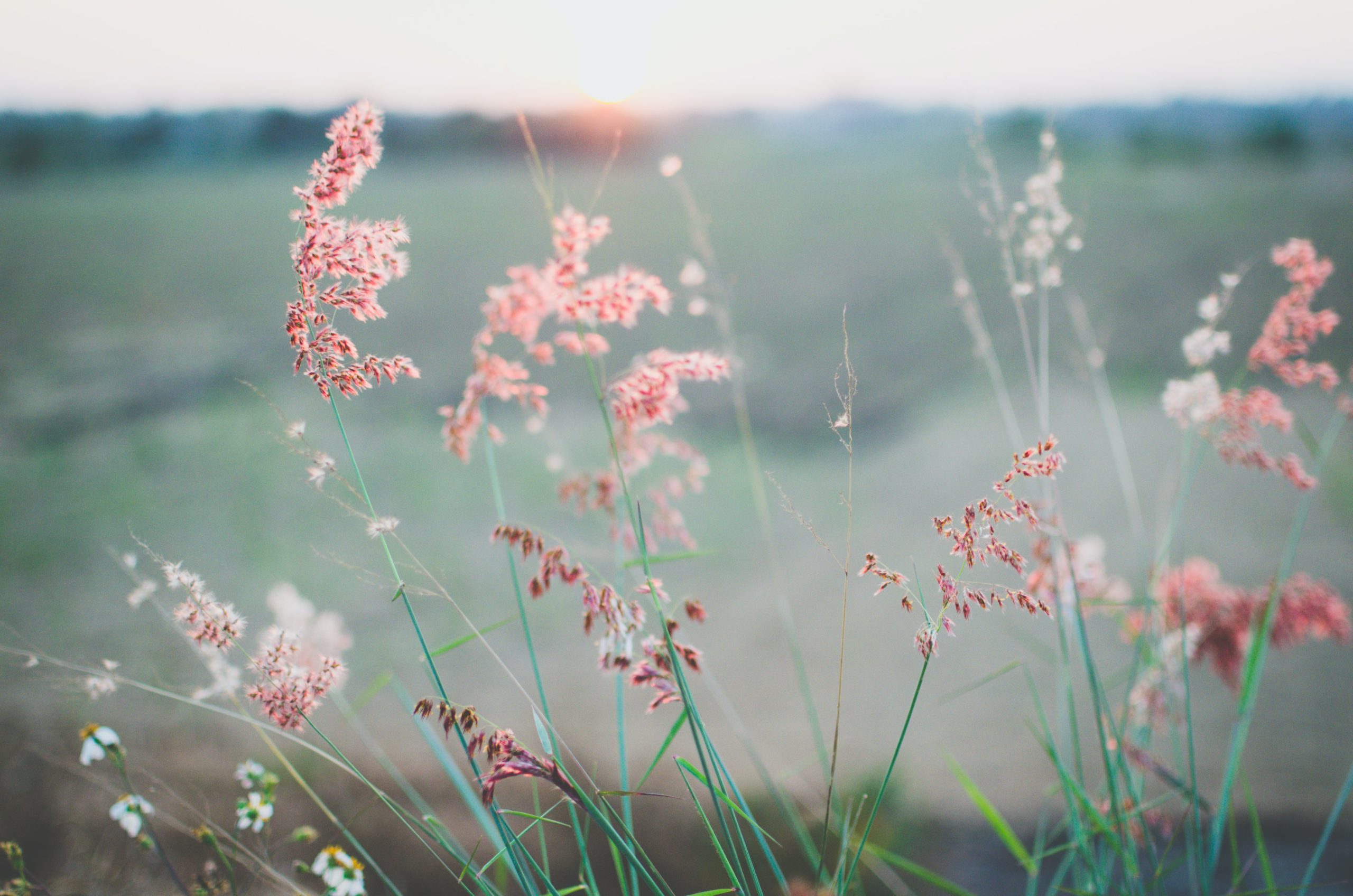 kien-do-NjT4O7WYmwk-unsplash (1)